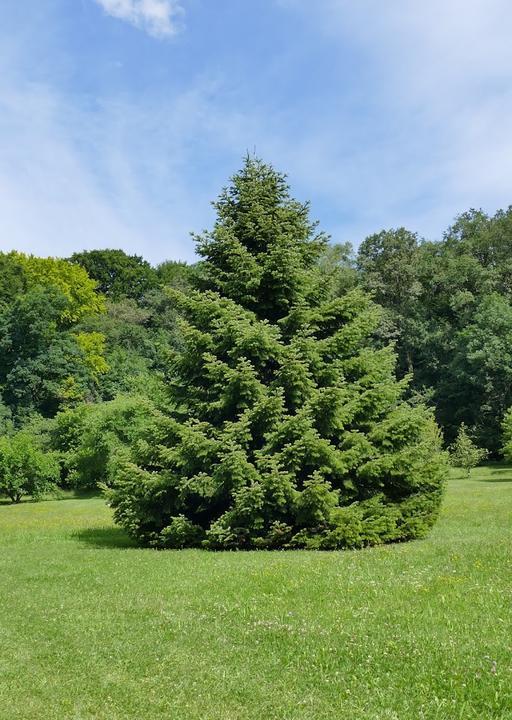 Biergarten Am Botanischen Garten